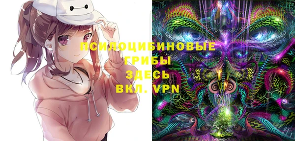 ECSTASY Богородицк