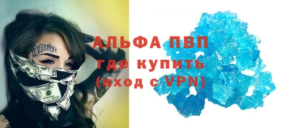 ECSTASY Богородицк