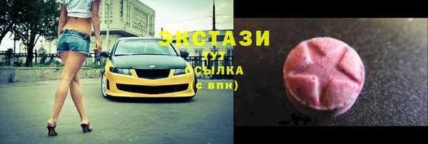 ECSTASY Богородицк