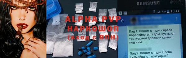 ECSTASY Богородицк