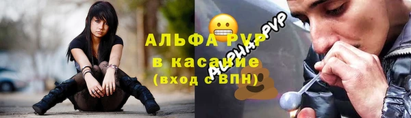 ECSTASY Богородицк