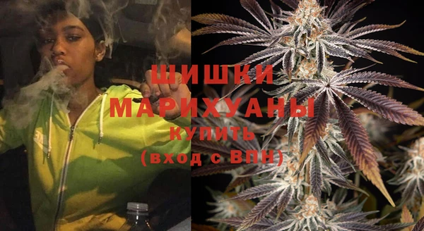 ECSTASY Богородицк