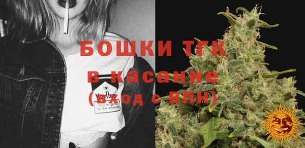 ECSTASY Богородицк